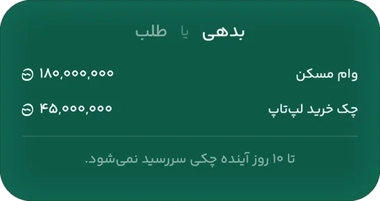 کارت بدهی: وام مسکن ۱۸۰ میلیون و چک خرید لپتاپ ۴۵ میلیون تومان